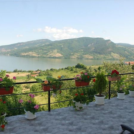 Apartment Danubius Donji Milanovac Exteriér fotografie